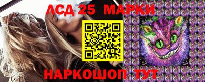 эйфоретик Моздок