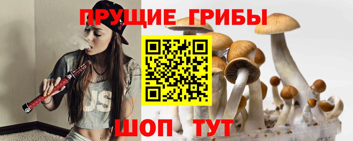 Псилоцибиновые грибы мухоморы Советск